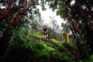 BIB: 
                            <button type="button" onclick="openModal(26203724)" class="btn btn-primary btn-sm float-right btn-popup" data-toggle="modal" data-target=".modal-high-quality">
                        <i class="fas fa-shopping-cart"></i> Add to Cart
                    </button>
                                            <button type="button" onclick="isThisMe(26203724, true)" class="btn btn-success btn-sm float-right btn-popup btn-isme hidden" data-toggle="tooltip" data-placement="bottom" title="นี่คือรูปของคุณใช่ไหม คลิกที่นี่เพื่อเอาเข้าอัลบั้ม">
                        <i class="fas fa-plus"></i> Add to album
                    </button>
                    <button type="button" onclick="isThisMe(26203724, false)" class="btn btn-warning btn-sm float-right btn-popup btn-isnotme hidden">
                        <i class="fas fa-ban"></i> Remove from album
                    </button>